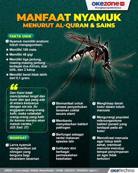 Manfaat Pendidikan dan Manfaat Nyamuk